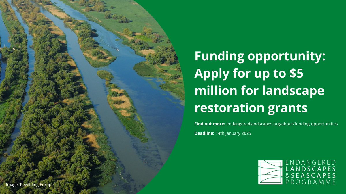 LegambienteLab's tweet image. 🌍  il bando “Ripristino dei paesaggi in tutta Europa”, anche @Legambiente presenta la sua proposta. Il programma @EndangeredLands per progetti di ripristino del paesaggio europeo. 
Per saperne di più e candidarsi: endangeredlandscapes.org/news/funding-c…