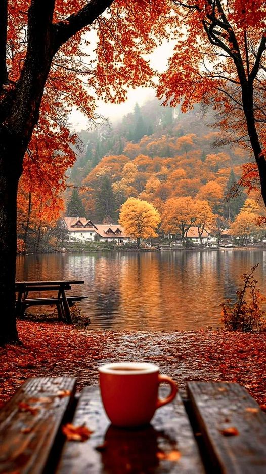 Jessica Lauryn tweet media