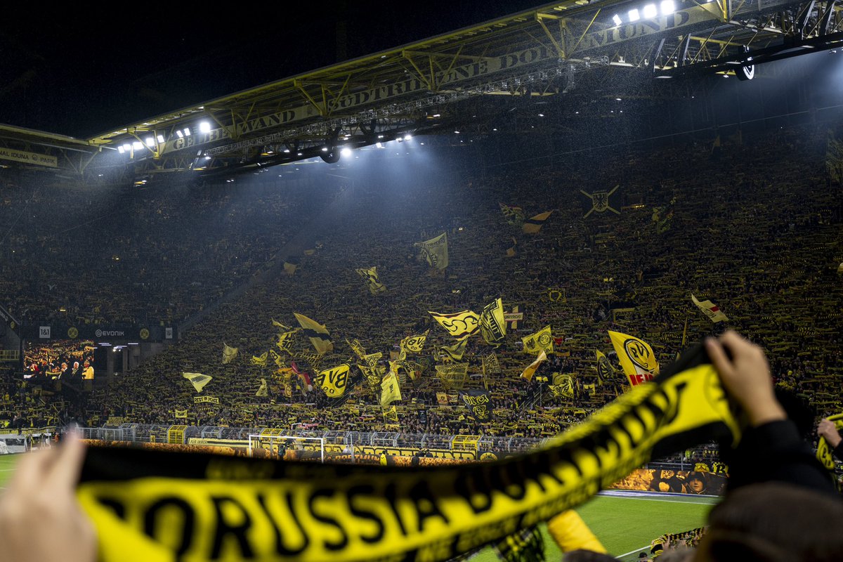 Borussia Dortmund tweet media