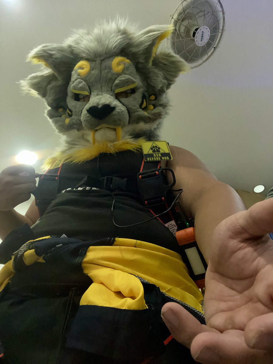 WEEDCATDOU's tweet photo. Need a hand ?
#fursuitfriday https://t.co/T4lP28RtZi