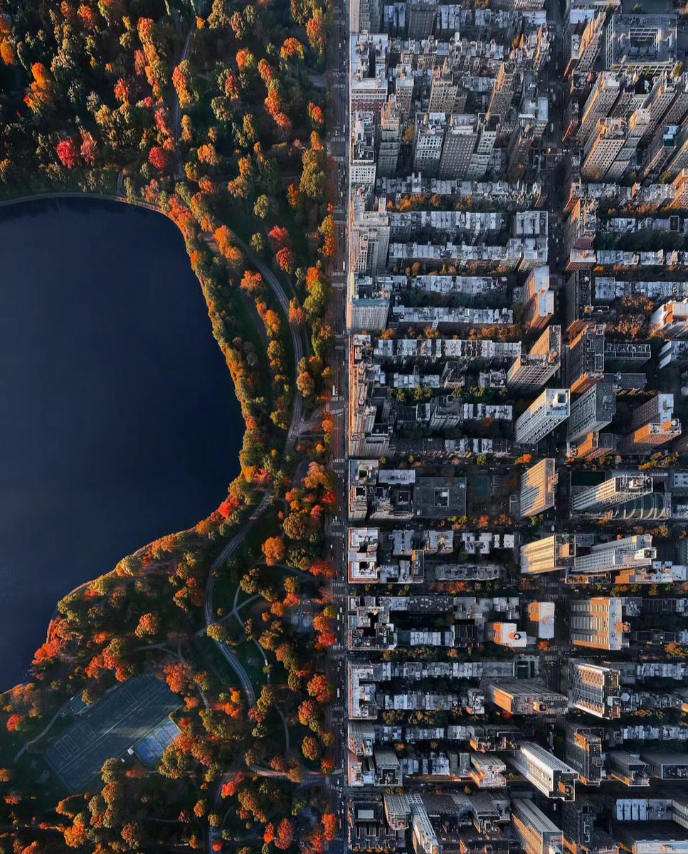 Central Park NYC 🍂