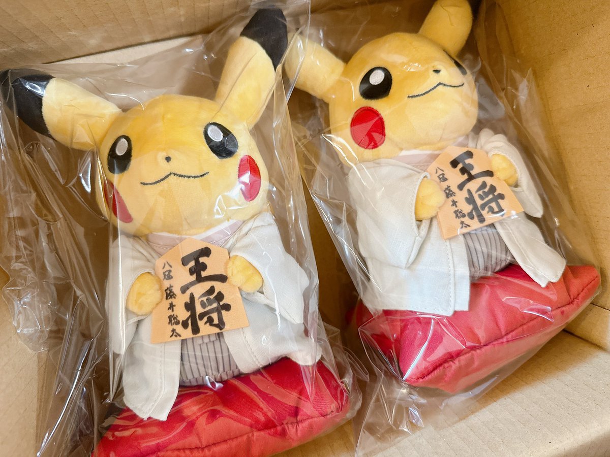 将棋会館クラファン 藤井聡太八冠の王将駒とピカチュウ 届いた〜！！🥰