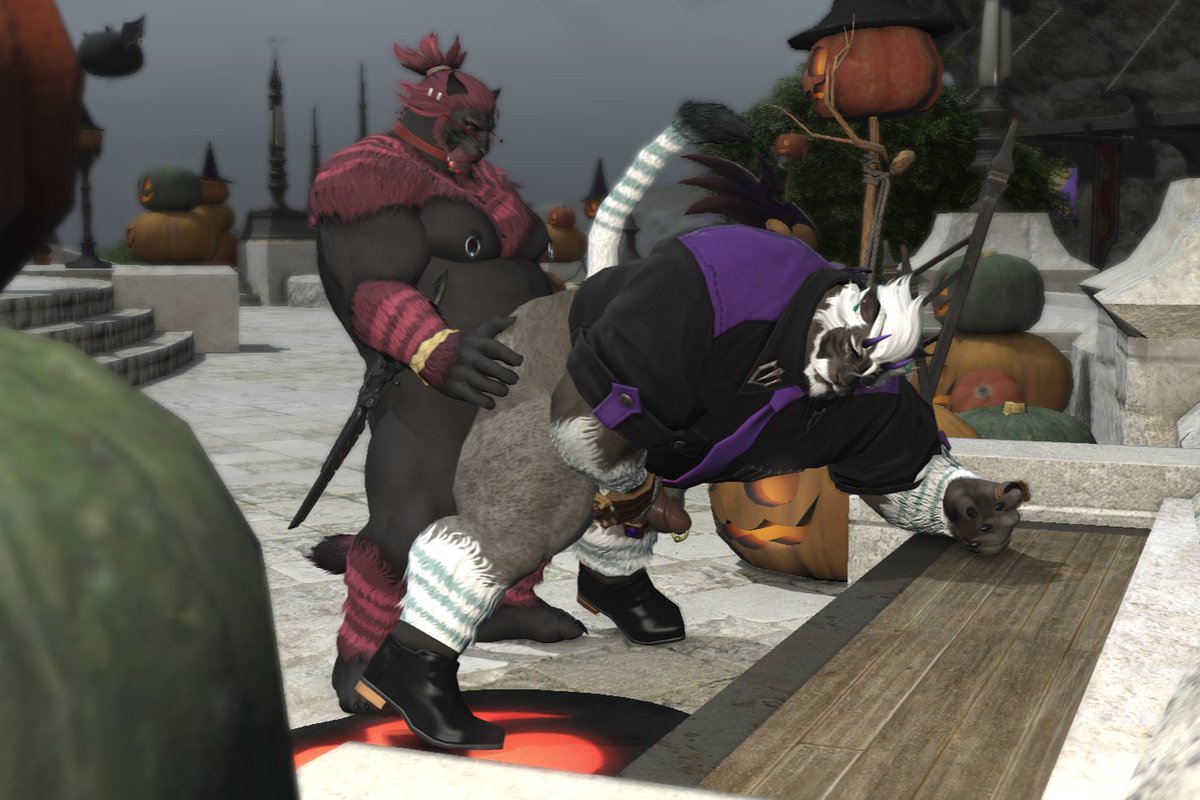 MintyHroth's tweet photo. 🎃🎃 https://t.co/wrZ0FNuusi