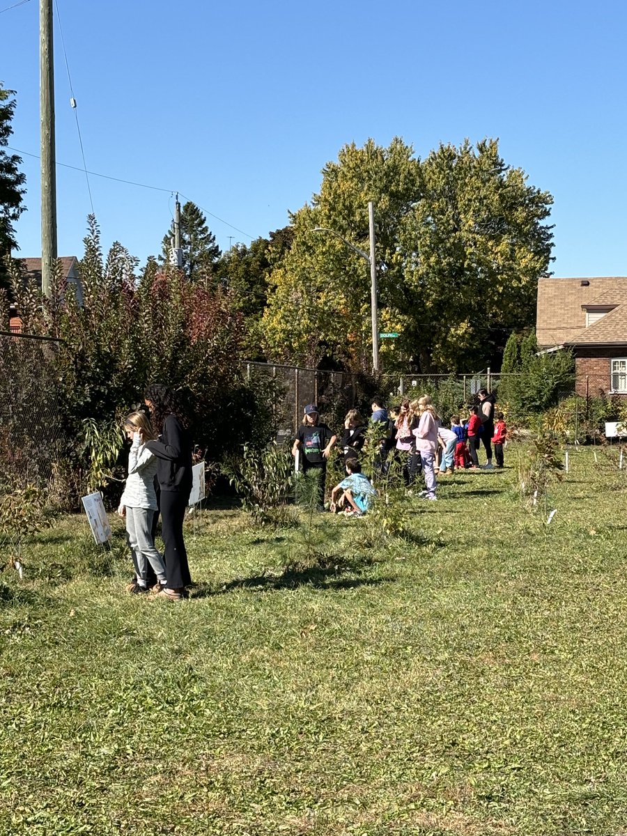 Thanks Mrs. Stahlbaum for the outside story in our microforest! All of our classes enjoyed reading in the sunshine! ⁦@gvcwrdsb⁩ ⁦<a href="/wrdsb/">Waterloo Region DSB</a>⁩