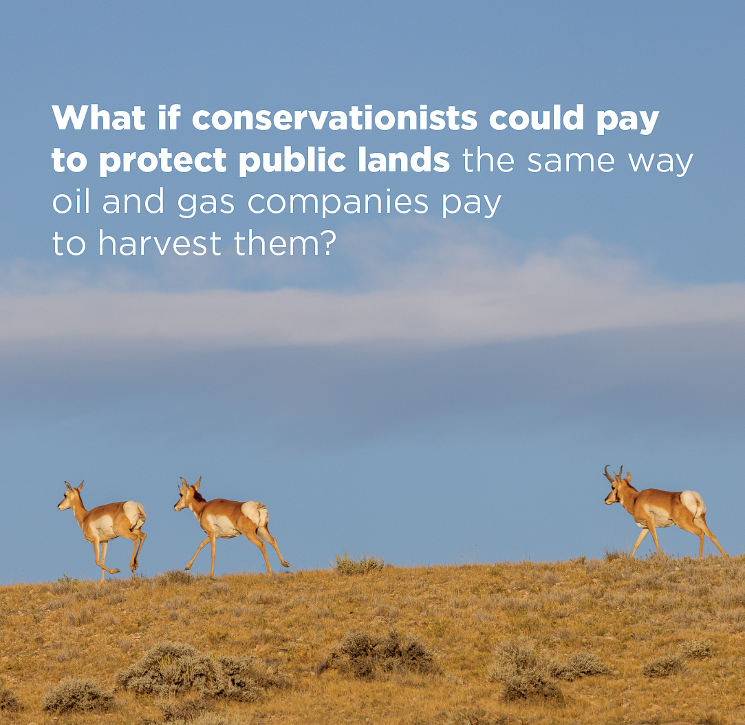 PERCtweets's tweet photo. 🏞️ We’re rethinking public land management with conservation leasing—leasing not just for resource extraction, but also for conservation. Click this link to read more 👉 https://t.co/KsfpPb8EV3  #ConservationLeasing #PublicLands #CreativeConservation https://t.co/knEVMP8TKi