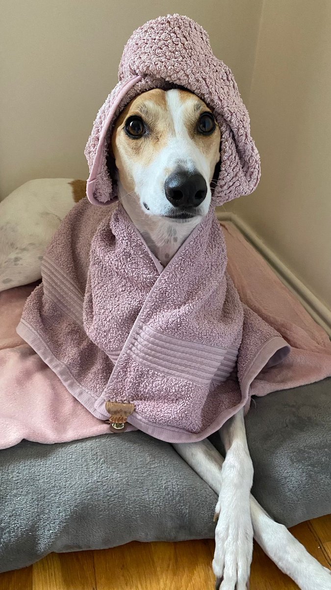 ByrneCocker's tweet photo. So apawrently boys, girls call this an โeverything showerโ ๐คท๐ผโโ๏ธ๐ ๐
#itsagirlthing
#noclue
#leavethematit https://t.co/V8IsQOAKQz
