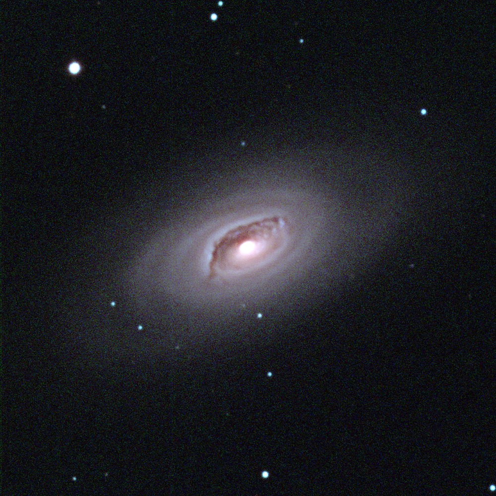 Join us tonight Friday 10/18 at the Rita Hollings Science Center for a night of telescope observing. The event is free and open to the public, but tickets are required.
See link for details and tickets:
eventbrite.com/e/star-gazing-…