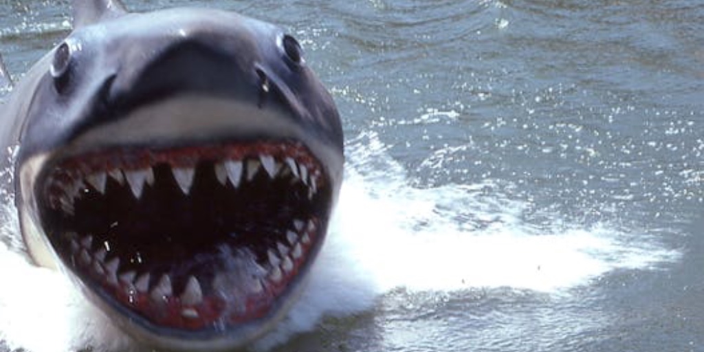 WHMAcademy's tweet image. Prescribing pain meds while on the medical board is like a lifeguard selling sharks to the beach-goers. 

ow.ly/BFgK50TKnAa

#OpioidMadness #PainForProfit #FraudulentMD #MedicalBoardGoneRogue