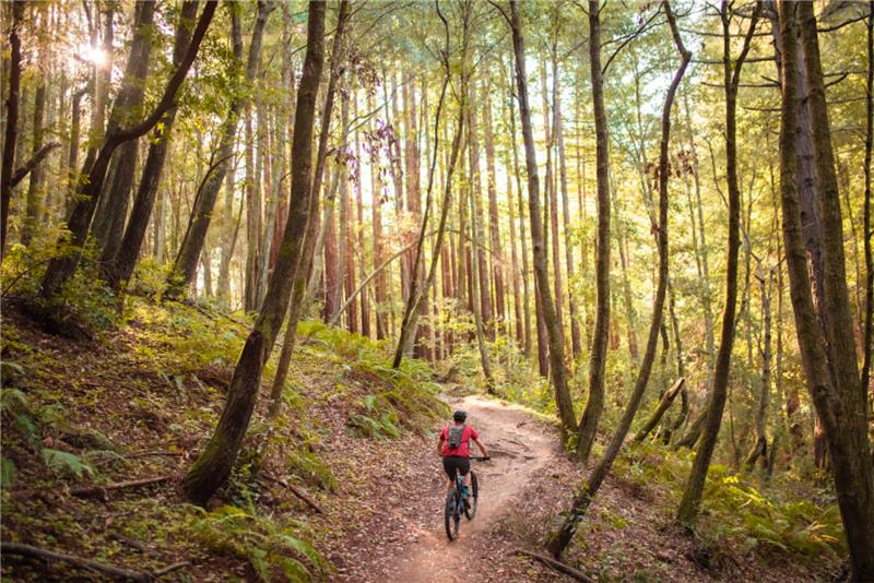 Do you think your manager knows that you spent half of the day looking up "hiking trails near me"?