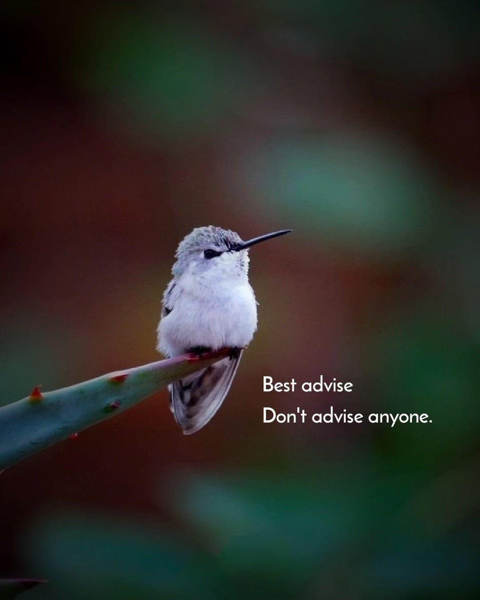 Helens333 tweet media