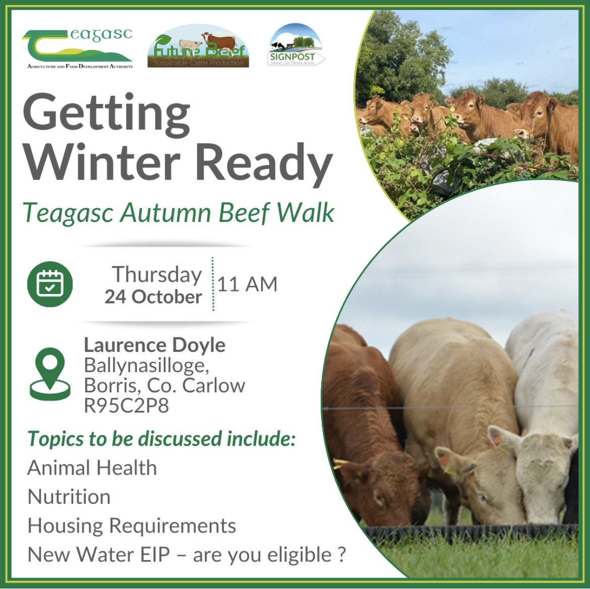 TeagascWWC's tweet photo. Our next beef winter housing event takes place on Thursday 24th October  in Borris, Co. Carlow @ 11.00am. Not to be missed for those currently housing or planning to house cattle! 🐂🐂 https://t.co/baQfGJ9mQX