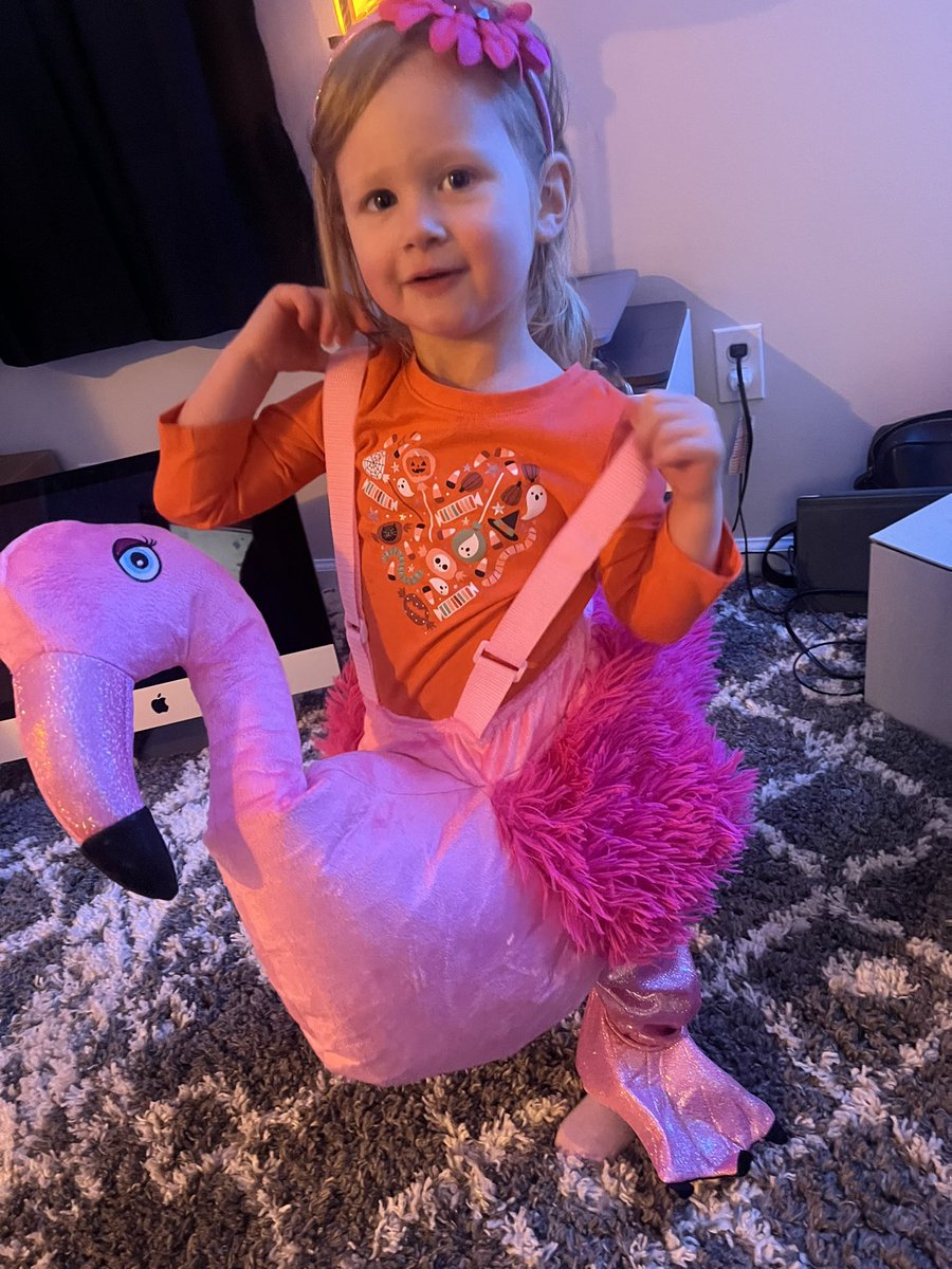 RyanERad's tweet photo. Today’s stream canceled - kids still sick. One recovered, little man fighting off a URI. Doctor Daddy is on it though! Should be back to the regular streaming schedule next week. Thanks for all the stream support and love! https://t.co/Sm4ScAyBWI