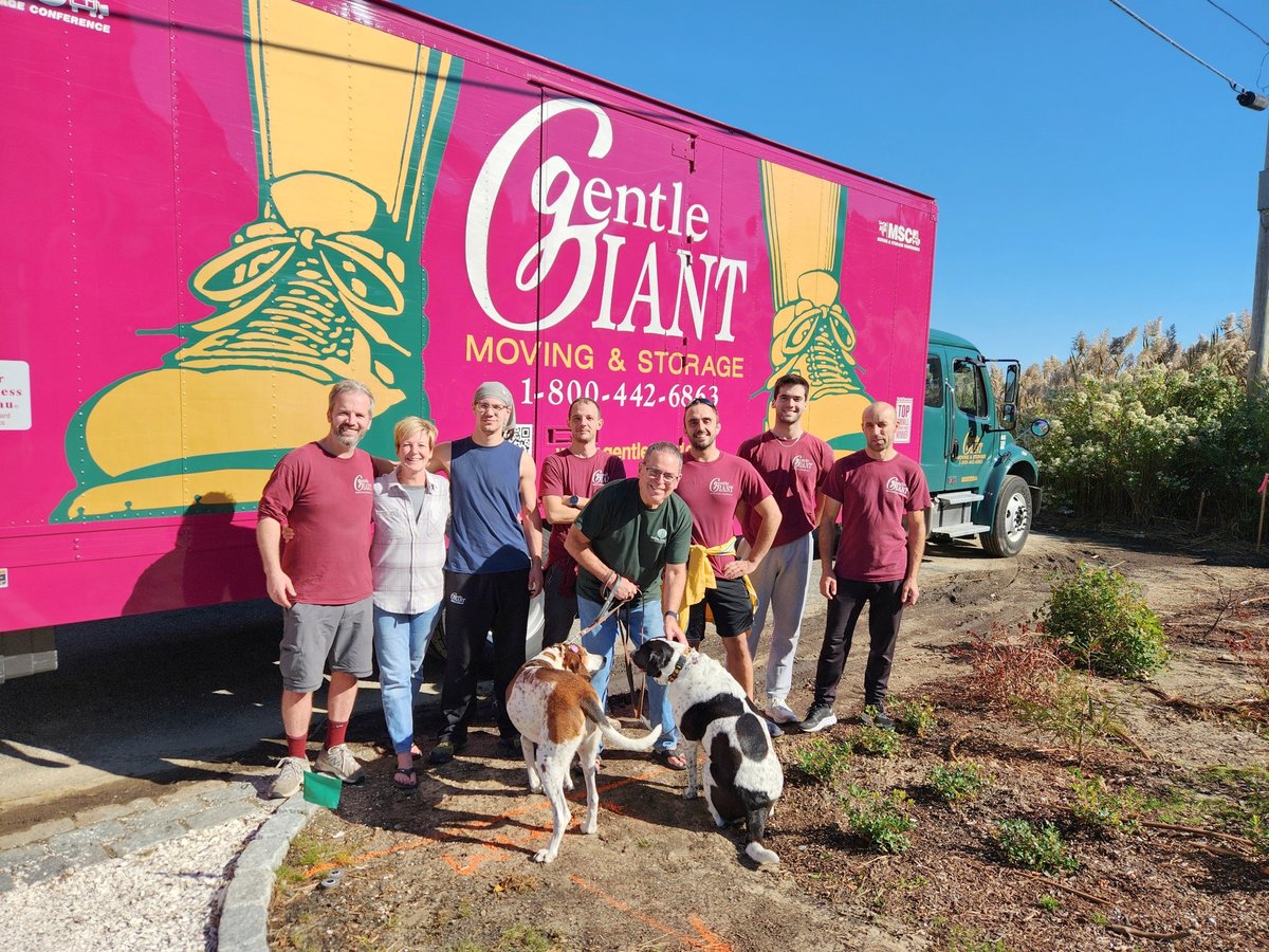 Gentle Giant Moving Co. tweet media