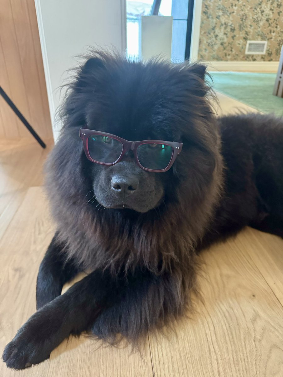 chelseahandler's tweet image. Doug looks just like his mama. 🤓