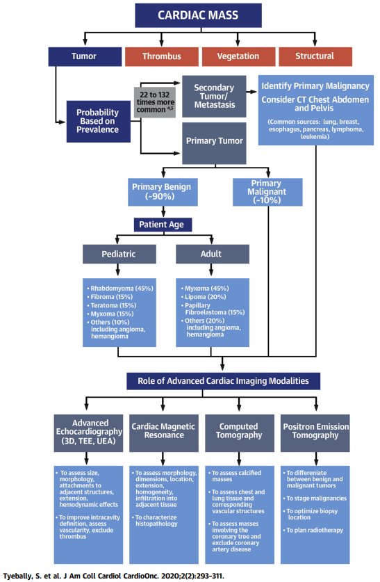 🔴Cardiac Tumors:⤵️JACC  State-of-the-Art #Review #openaccess 

🔹sciencedirect.com/science/articl… 
 #Cardiology #FOAMed #MedEd #medstudent #paramedic #Cardiology #CardioEd #medtwitter #meded #CardioTwitter #cardiotwiteros  #MedX #cardiovascular #MedTwitter #medical
