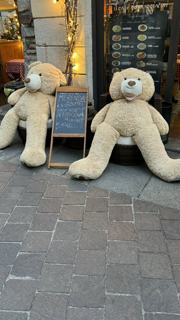 Wandering around Europe and stumble across a couple of <a href="/HunsletTheBear/">Hunslet the Bear🐻</a> ‘s Italian cousins who may have had a little too much Aperol 😬🍹