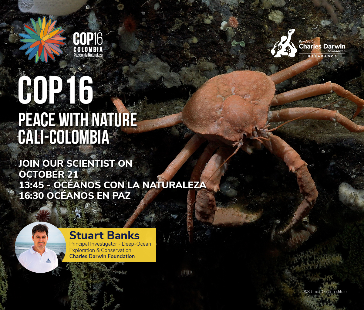 DarwinFound's tweet photo. #ScienceonStage | Join Stuart at #COP16 for his talk focused on strengthening capacities in deep-sea biodiversity conservation by prioritizing actions, research, and bridging the gap between science and decision-making. 🕒16:30 |📍Auditorio Centro Cultural de Cali / Zona Verde https://t.co/Fzp3Kj5J8F
