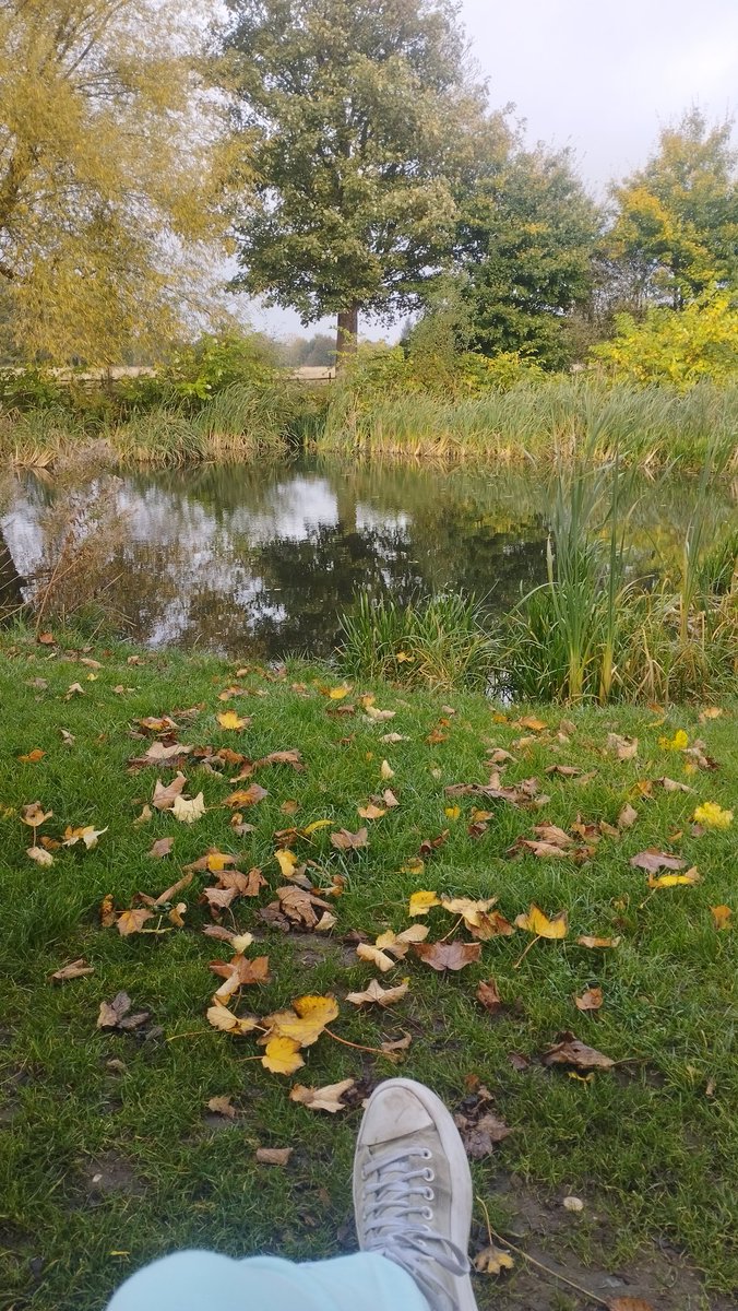 angel_snacc's tweet photo. @DrBahaaQouta Pond for eng age ment 🇵🇸🇵🇸🇵🇸 https://t.co/GRUCVNuTjz
