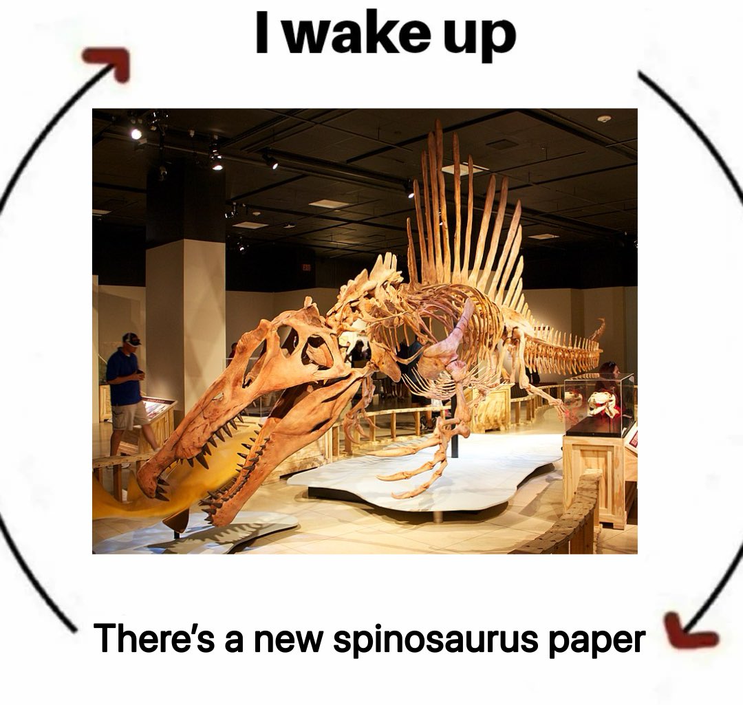 Crazy_Irrit's tweet image. Everyday I wake up