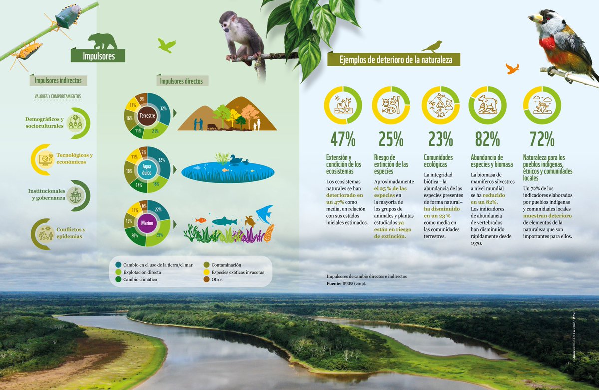 WWFColombia's tweet photo. Estos son los motores que están acabando con nuestra biodiversidad 🪵❌🌏  

En la @COP16Oficial tenemos la misión de abordarlos y buscar soluciones para frenarlos. Te contamos cuáles son las metas para lograrlo 👉 https://t.co/vfiVNUT8dN https://t.co/ULACQer1YD