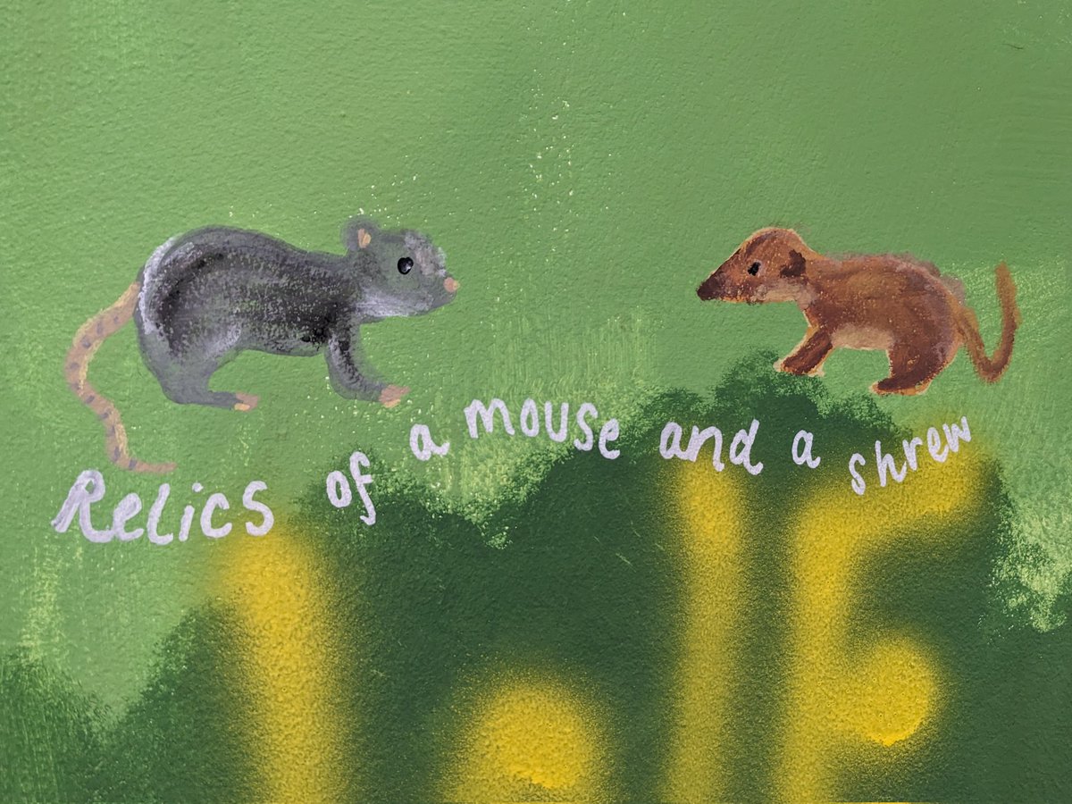 Clemency Cooper tweet media