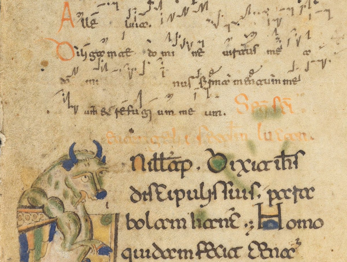 DACT Fragments (@dactf) on Twitter photo this chant page <a href="/HoughtonLib/">Houghton Library</a> is not for #StLuke but it has an ox who seems quite nonplussed by squiggly neumes #fragmentfriday fragmentarium.ms/overview/F-hd68 this chant page <a href="/HoughtonLib/">Houghton Library</a> is not for #StLuke but it has an ox who seems quite nonplussed by squiggly neumes #fragmentfriday fragmentarium.ms/overview/F-hd68