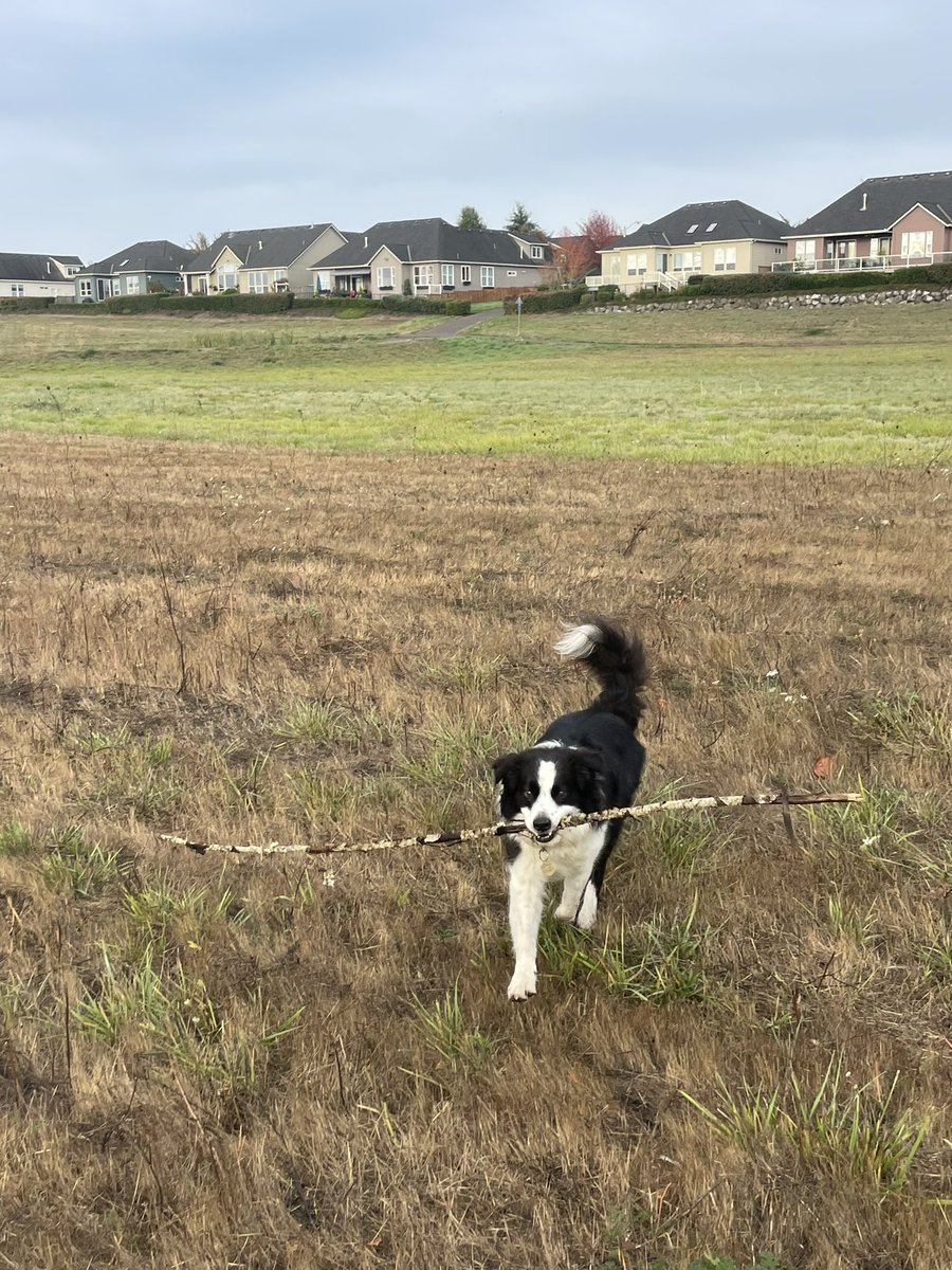 <a href="/ellendymit/">Ellen Dymit</a> submitted this 11/10 loooooong Daily Stick from King Barley! We love it!