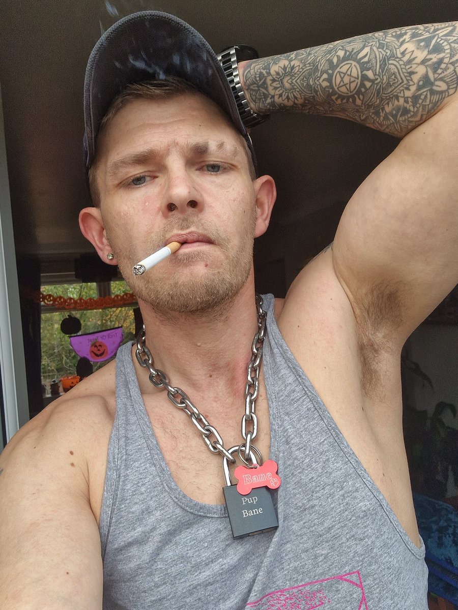 AlphaPupBane's tweet photo. Come give Alphas pit a good sniff boy

#alpha #alphadawg #alphapup #dom #alphachav #alphascally https://t.co/yTvM7pg3Ys