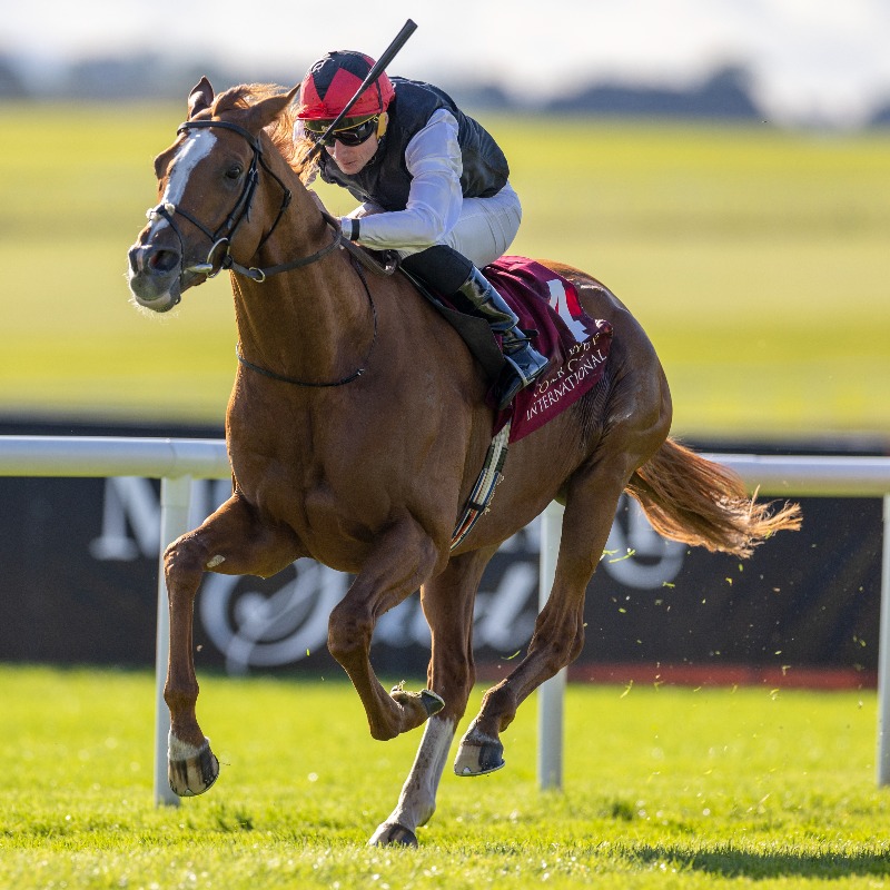 myracingtips's tweet photo. BRITISH CHAMPIONS DAY! 🇬🇧🐎

Our tips for tomorrow's racing:
∙ 12/1 Acca
∙ 28/1 Nap
∙ 89/1 Each Way Double
∙ Lucky 15

View them all here 👇