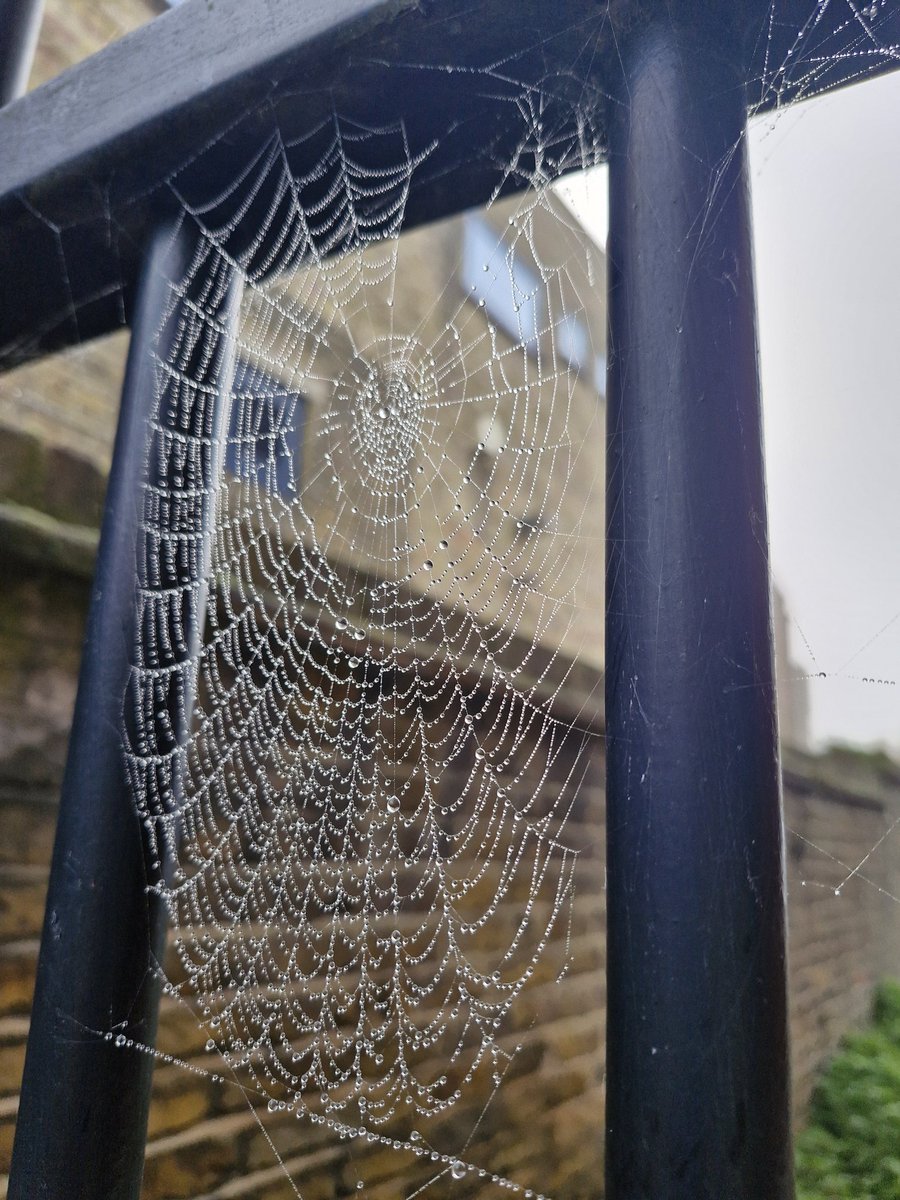 🕷🕸 clever little things....