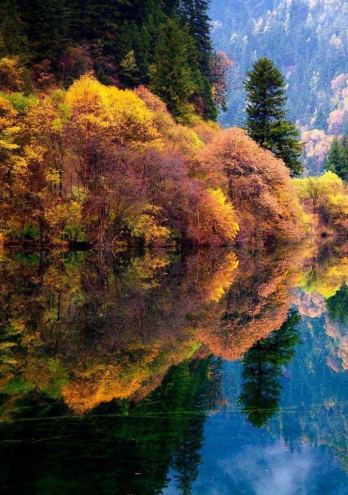 LoveSongs4Peace's tweet photo. Beautiful autumn reflection on a lake with the best colors
🍂🍁🍂 https://t.co/M6lELP4n0U