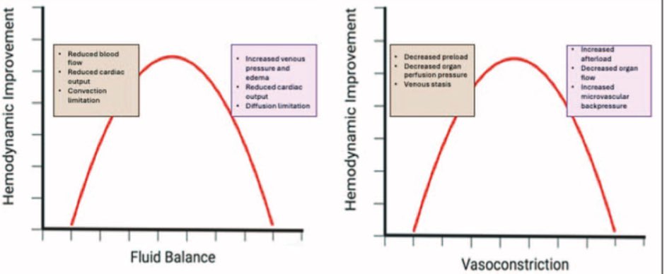 DrFDamico's tweet photo. Protective hemodynamics!

Finding the right balance in hemodynamic management is crucial—excess and deficiency both deserve the same caution. ⚖️ 

Too much is just as risky as too little. 

Read our full review for in-depth insights! 

https://t.co/MFkxyv4spY https://t.co/eHjTLmkNgH