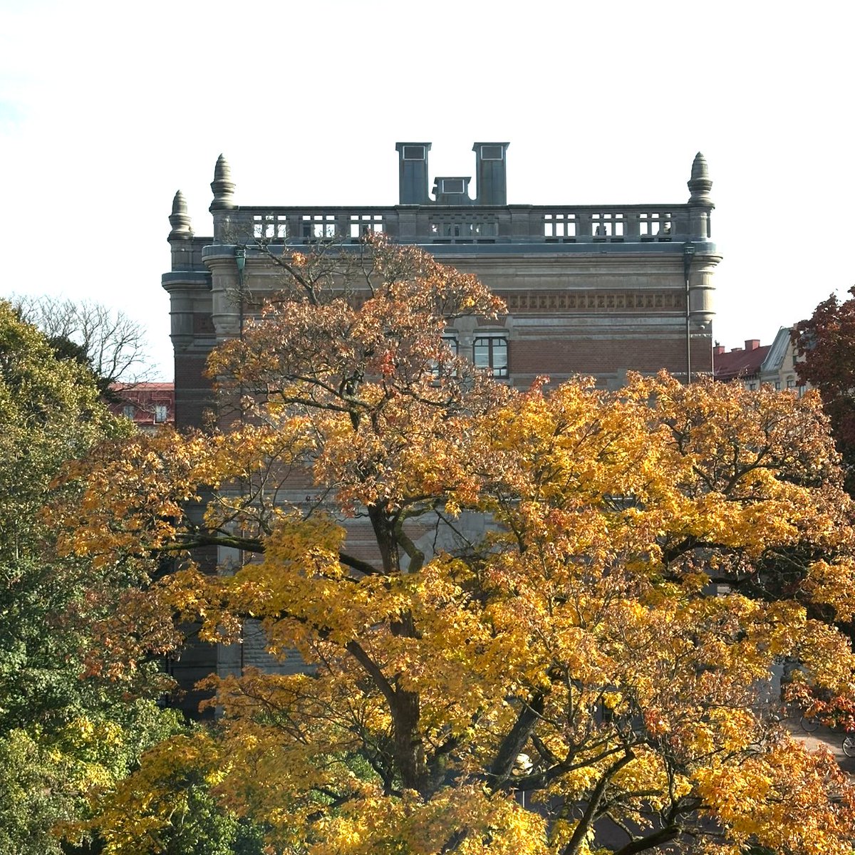 It's been quite the treat to spend the week visiting (and to present at) the Quality of Government Institute at <a href="/goteborgsuni/">Göteborgs universitet / University of Gothenburg</a>. What a great group of scholars doing influential work on issues of governance, bureaucracies, and state capacity. Thank you for having me, <a href="/QoGData/">QoG-Data</a>!
