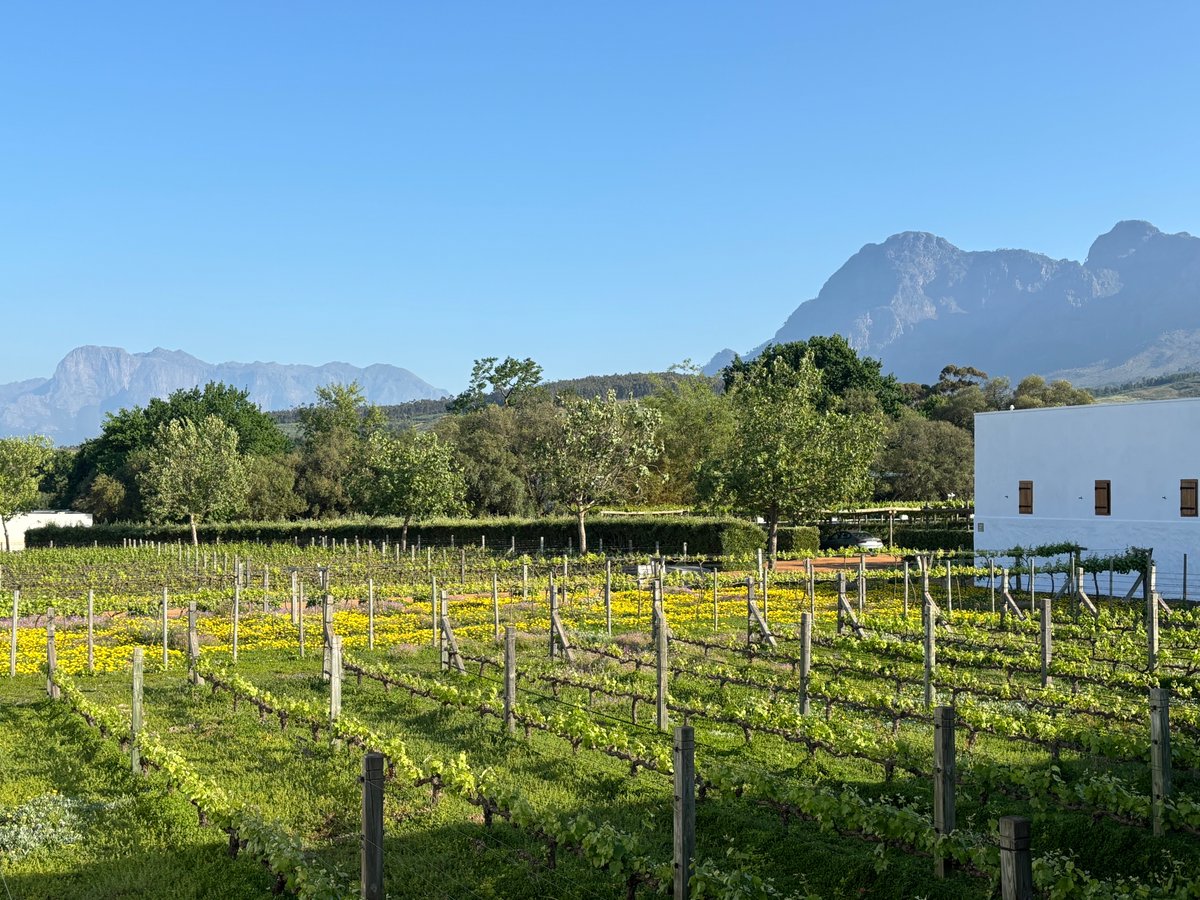 FabLabBU's tweet image. Felt great to vote absentee from South Africa for reproductive healthcare, trans rights, immigration, and science! Now, time for the winelands...