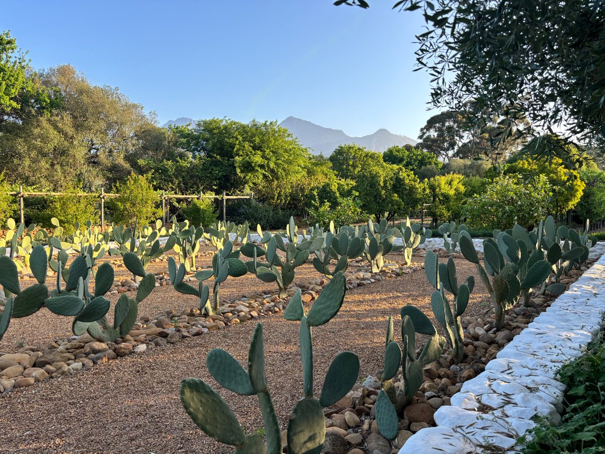 FabLabBU's tweet image. Felt great to vote absentee from South Africa for reproductive healthcare, trans rights, immigration, and science! Now, time for the winelands...