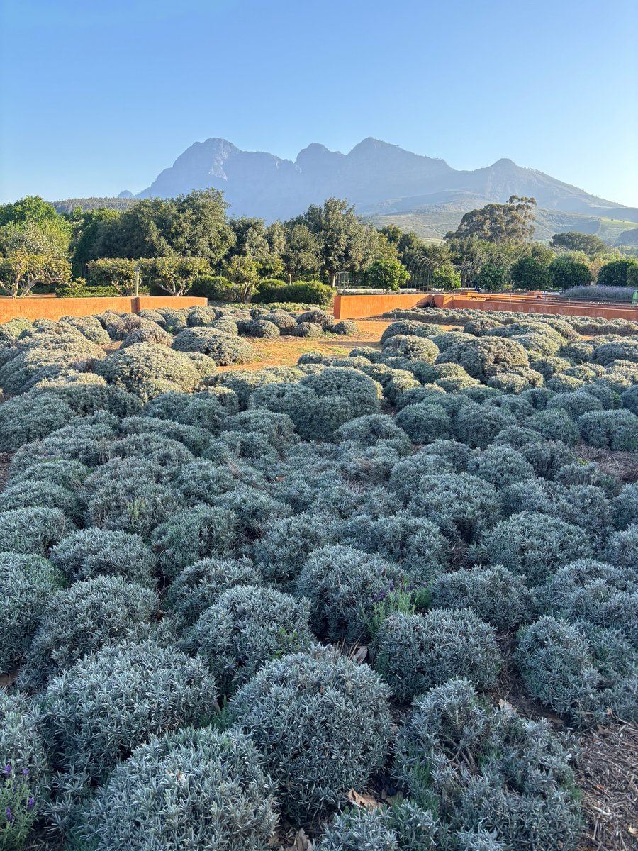 FabLabBU's tweet image. Felt great to vote absentee from South Africa for reproductive healthcare, trans rights, immigration, and science! Now, time for the winelands...