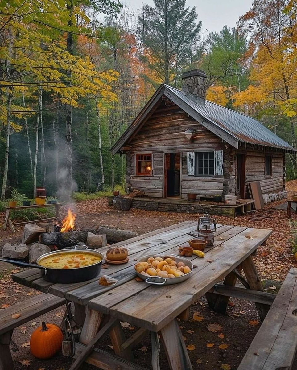 ___Kamer's tweet photo. Yaz ile kış arasındaki
ağaçlar gibi değil miyiz?
Canlı ama kupkuru ✨️🍂 https://t.co/fUocoN7Pb8
