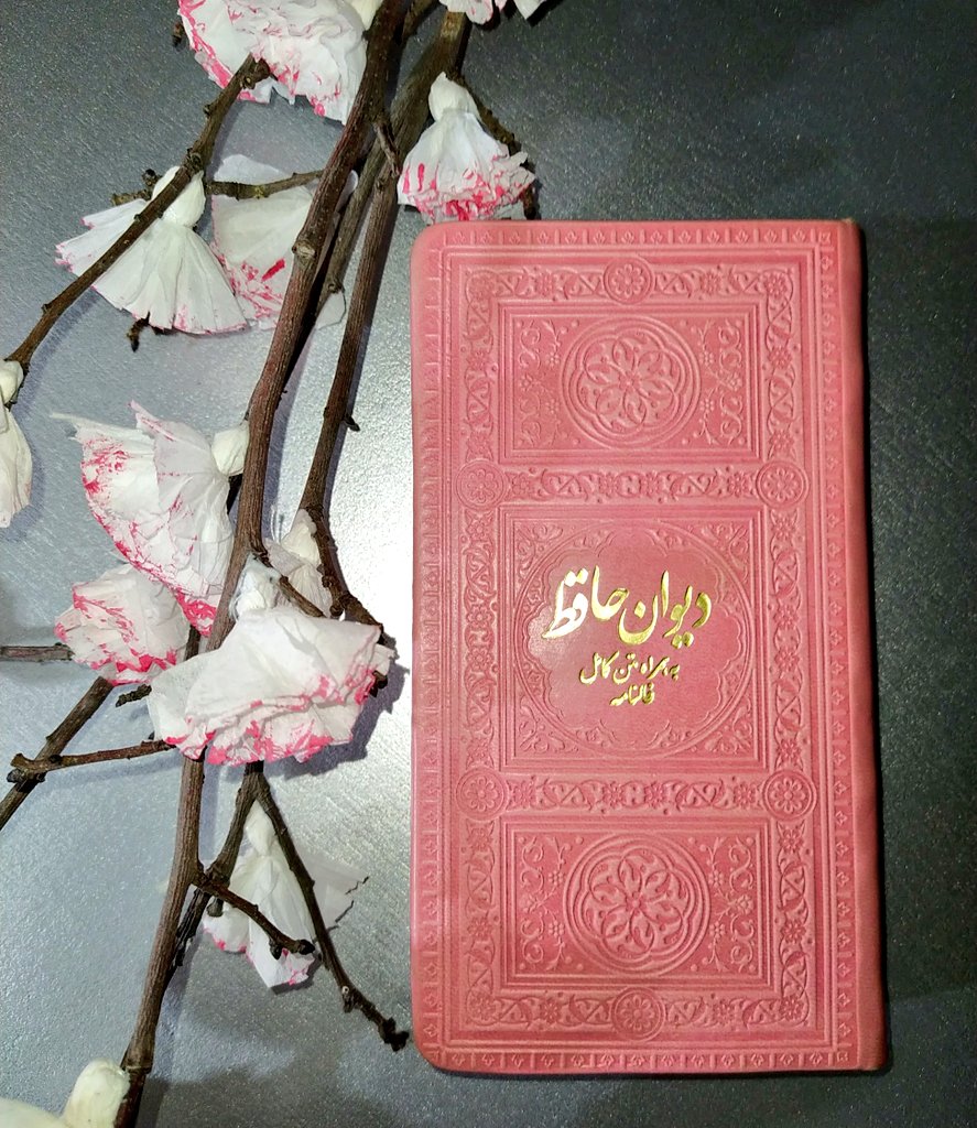 طُلوعــــْـ 🌝 tweet media