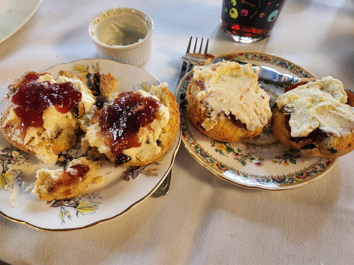 Thea Lyons 🌈 Updates Only. Please 👀 at my 📚. 💜 tweet media