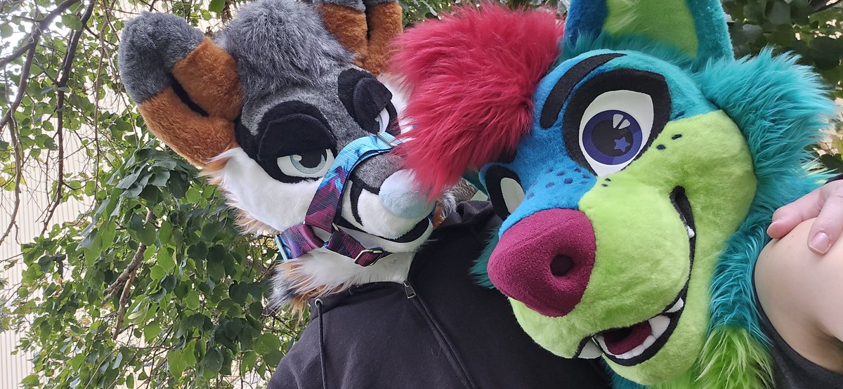 Rockitsune's tweet photo. Happy #fursuitfriday from me and my wonderful boy, @kynanwolf 🩵 he helped make this an amazing first #blfc for me https://t.co/mgtVy577ej