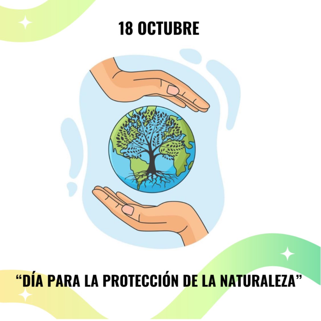 Dirección de Medio Ambiente tweet media