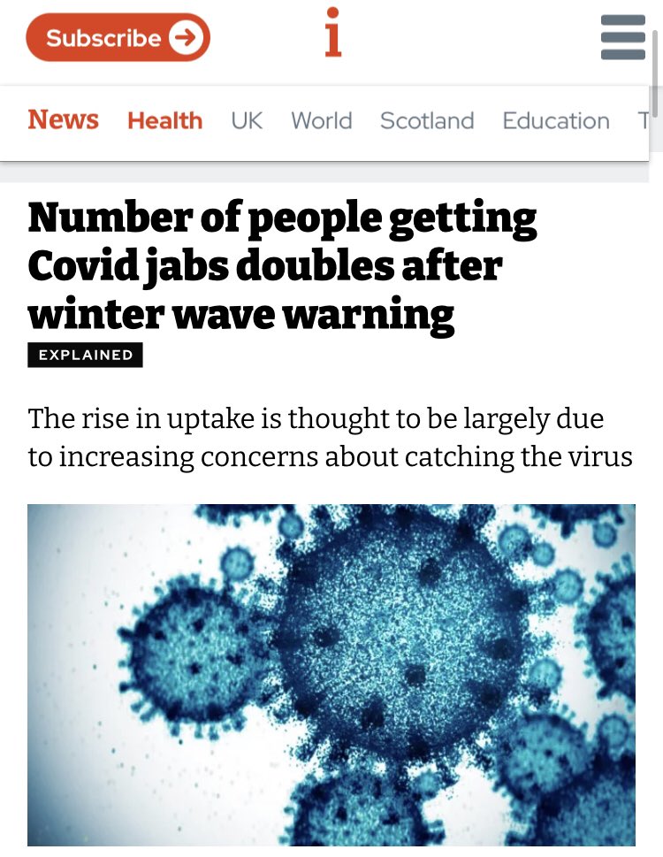 Bohemian Atmosphere tweet media