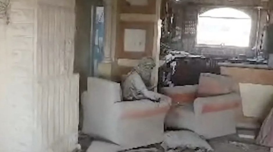 Siavash Ardalan tweet media