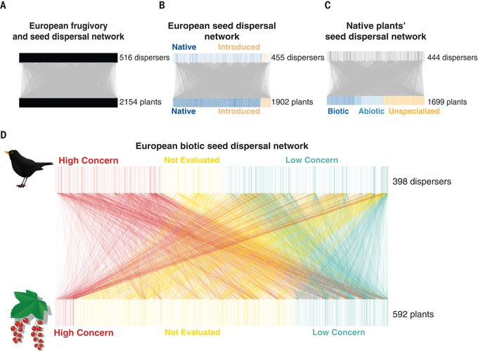 UN Biodiversity (@unbiodiversity) on Twitter photo Europe is facing a seed dispersal “crisis,” due to extinction threats and population changes among the animals that do the seed dispersing, according to a new study in Science.
Learn more👉bit.ly/4dKyW0s
via <a href="/ScienceMagazine/">Science Magazine</a> Europe is facing a seed dispersal “crisis,” due to extinction threats and population changes among the animals that do the seed dispersing, according to a new study in Science.
Learn more👉bit.ly/4dKyW0s
via <a href="/ScienceMagazine/">Science Magazine</a>
