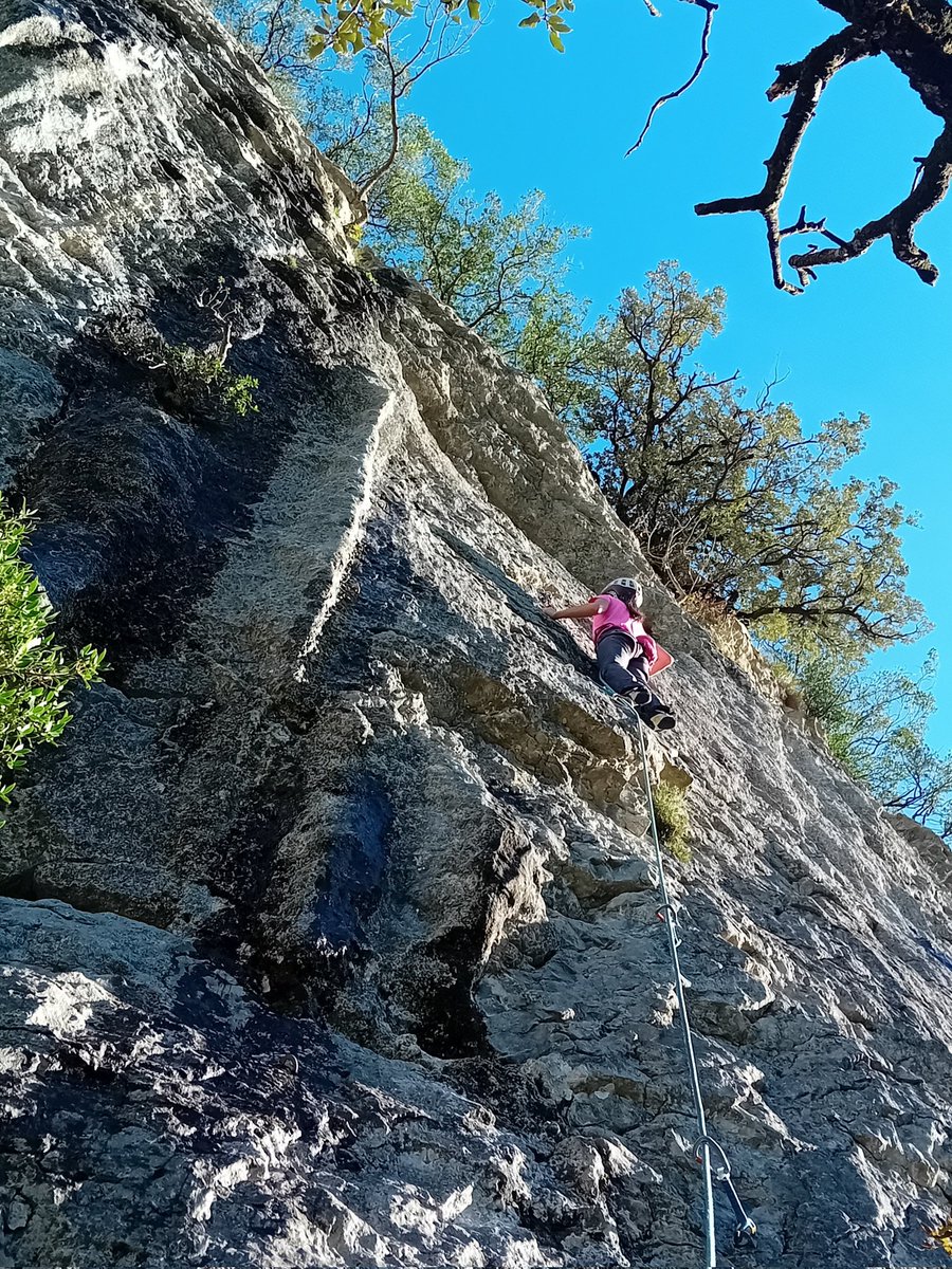 Paco Alarcón tweet media
