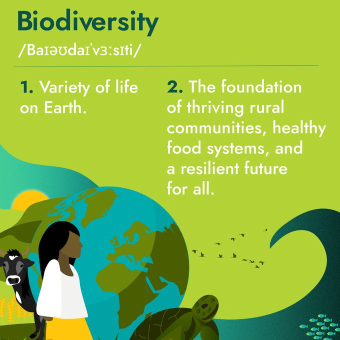 UNBiodiversity's tweet photo. We can’t live without biodiversity, yet it has never been under greater threat. 

It’s time for world leaders to step up and protect it.

via @IFAD https://t.co/Hbc3QryYKC