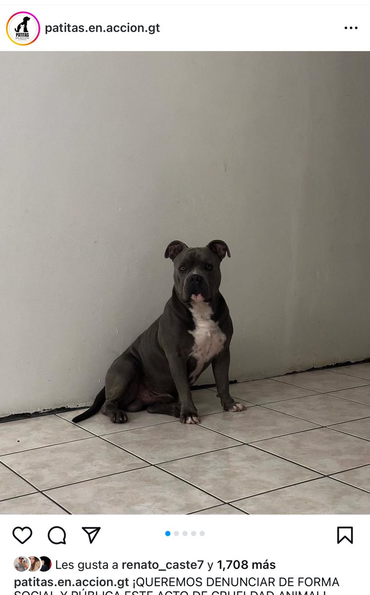 Byron Rodrìguez P. 🇬🇹 tweet media