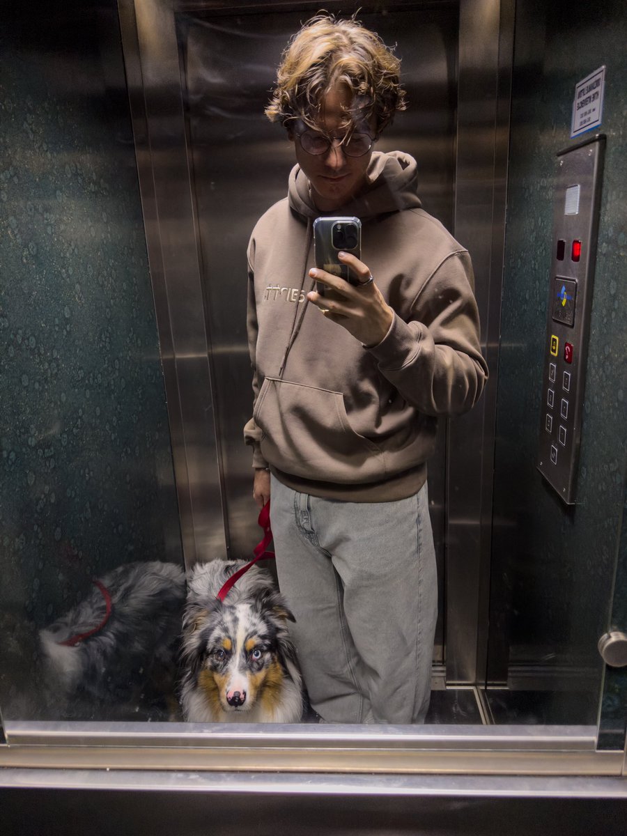 Веду аллергика в ветеринарку