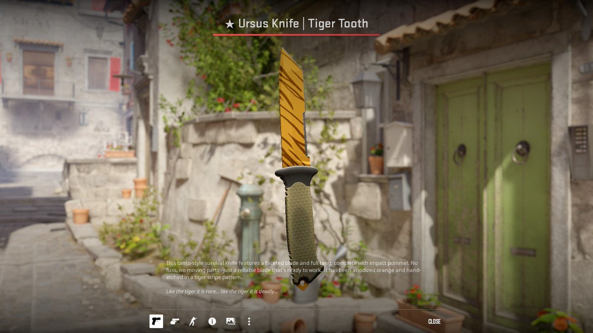 MitaoCatCS tweet media