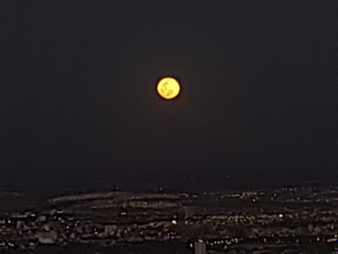 MasqueRadioAgs's tweet photo. 🌕✨ ¡Octubre trae lunas deslumbrantes! Desde la mágica "Luna del Cazador" de noche hasta su esplendor diurno, este mes nos regala vistas impresionantes. ¿Cuál prefieres: la luna de día o de noche? 📸💖 #LunaDeOctubre #BellezaNatural #FotografíaCelestial https://t.co/WwGPR7FqOb